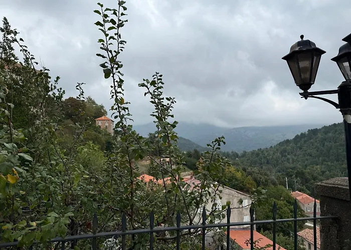 Marcelle * 埃维萨